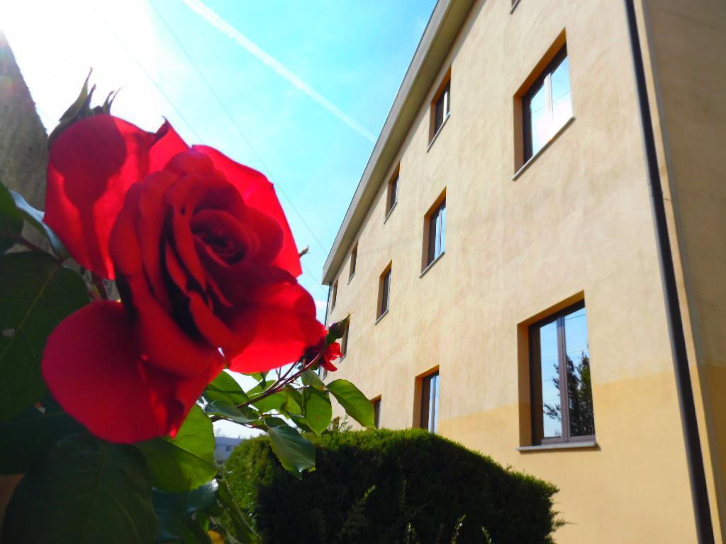 Hotel Majestic San Giuliano Milanese Zewnętrze zdjęcie
